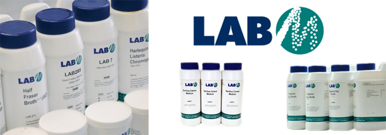 LAB M